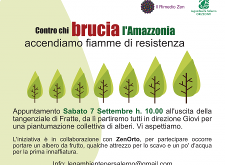 “Contro chi brucia l’Amazzonia”: piantumazione collettiva a Salerno “Contro chi brucia l’Amazzonia”: piantumazione collettiva a Salerno